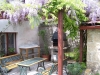 horice_jaro_1 horice_jaro_1